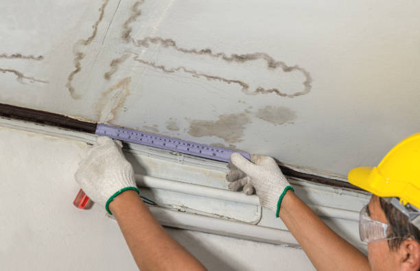 Reliable Sewage Cleanup contractor in Cookstown, NJ by Aqua Guard Water Damage